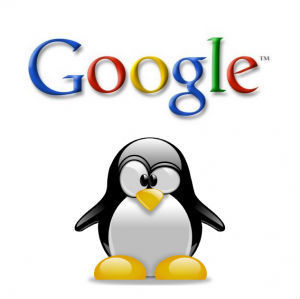 Google Penguin Update: Has Your Site Been Frozen Out?
