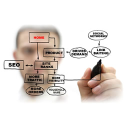 SEO Service