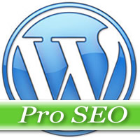 Wordpress Pro Installation